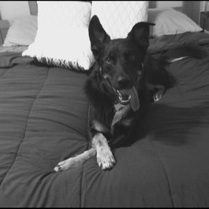 Meet your Posher, Jess